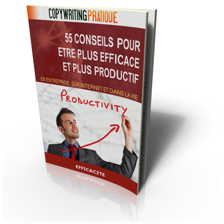 Livre55ConseilsProductif livre 55 conseils pour être plus efficace et plus productif